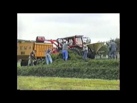 Loonw. Vervinckt - Evergem