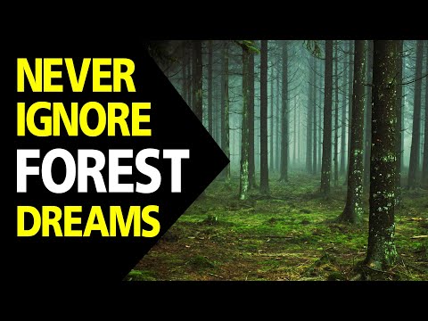 What does Forest dream meaning || Dreaming of Forest || Forest dream interpretation