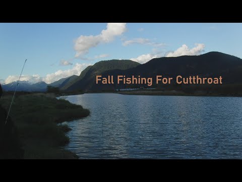 Fall Fishing For Cutthroat