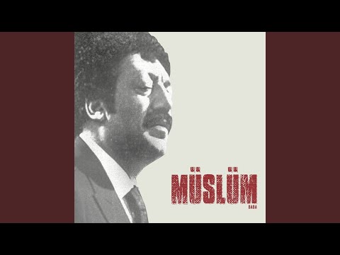 Taşa Verdim Yanımı