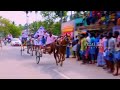 Maruthu ️ 3rd Price Peravurani Horse Race Anaikkadumaruthu Anaikkadu
