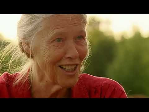 BBC The Secret Life of the Berlin Wall