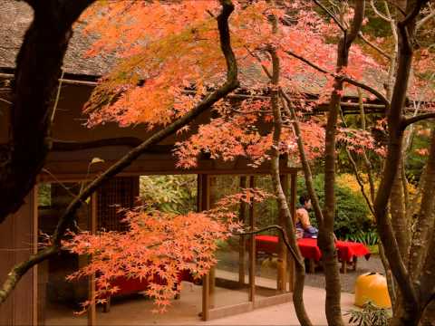 Vào thiền đường, ngồi xuống, điều thân & thiền hành Sheet - Bích Hồng