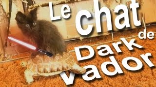 032 LE CHAT DE DARK VADOR