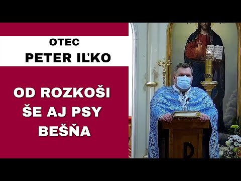 Vážme si všetko, čo máme - OTEC PETER IĽKO – HOMÍLIA / KÁZEŇ