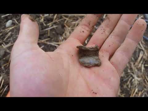 Der Bayern Sondler Teil 55 - Sondeln brachte mein erstes Heiligenkreuz