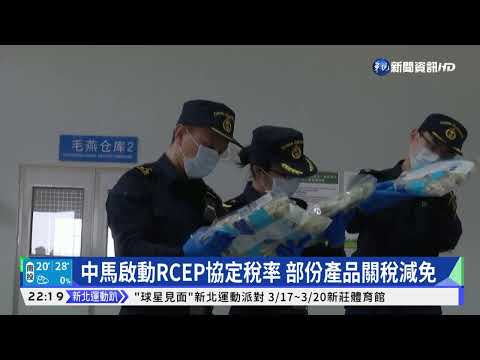 中馬啟動RCEP協定稅率 部份產品關稅減免