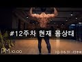[시합준비]다이어트 12주차 현재 몸 상태
