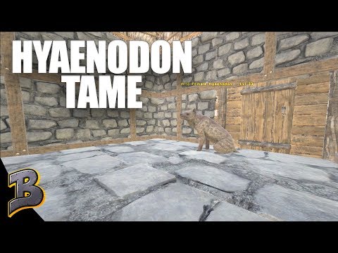 Hyaenodon Tame! We Got Revenge! Ark Survival Evolved Primitive Plus -Ragnarok- Ep 13