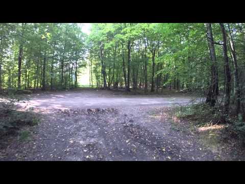 las zalesie 2014 wrzesień