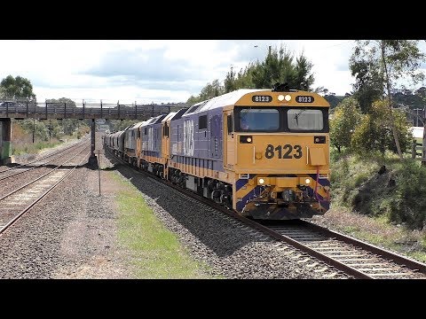 8123-8113-8149 on 4GK6 empty grain ex Goulburn to Westren Victoria at Wandong.  19-09-18. 12.19.23.