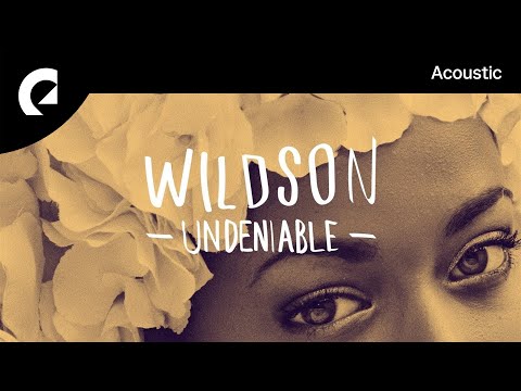 Wildson feat. Mia Niles - Undeniable