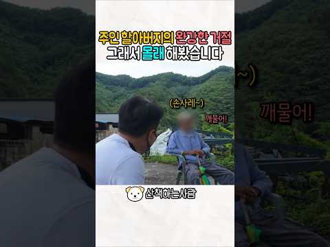수차례 거절하시는 주인 할아버지 몰래 환경 개선을 해보았습니다 #강아지 #반려견 #shorts #viral