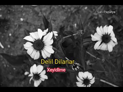 Delil Dilanar-Xeyidîme(kurdish Trap)#2022#kurdishtrap#remix