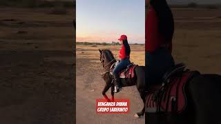 Venganza Divina - Grupo Laberinto