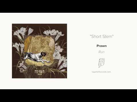 Video thumbnail for Short Stem