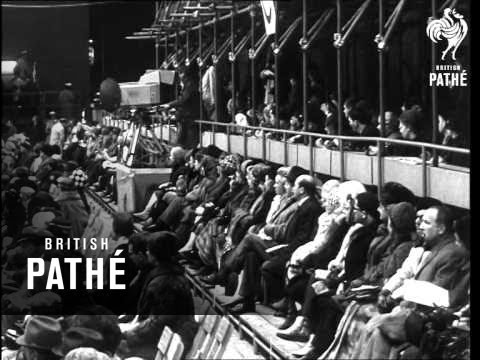 Figure Skating Championships In Vienna (1967)