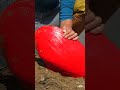 Girl Boldly Turns On Red Mutant Giant Clam ️