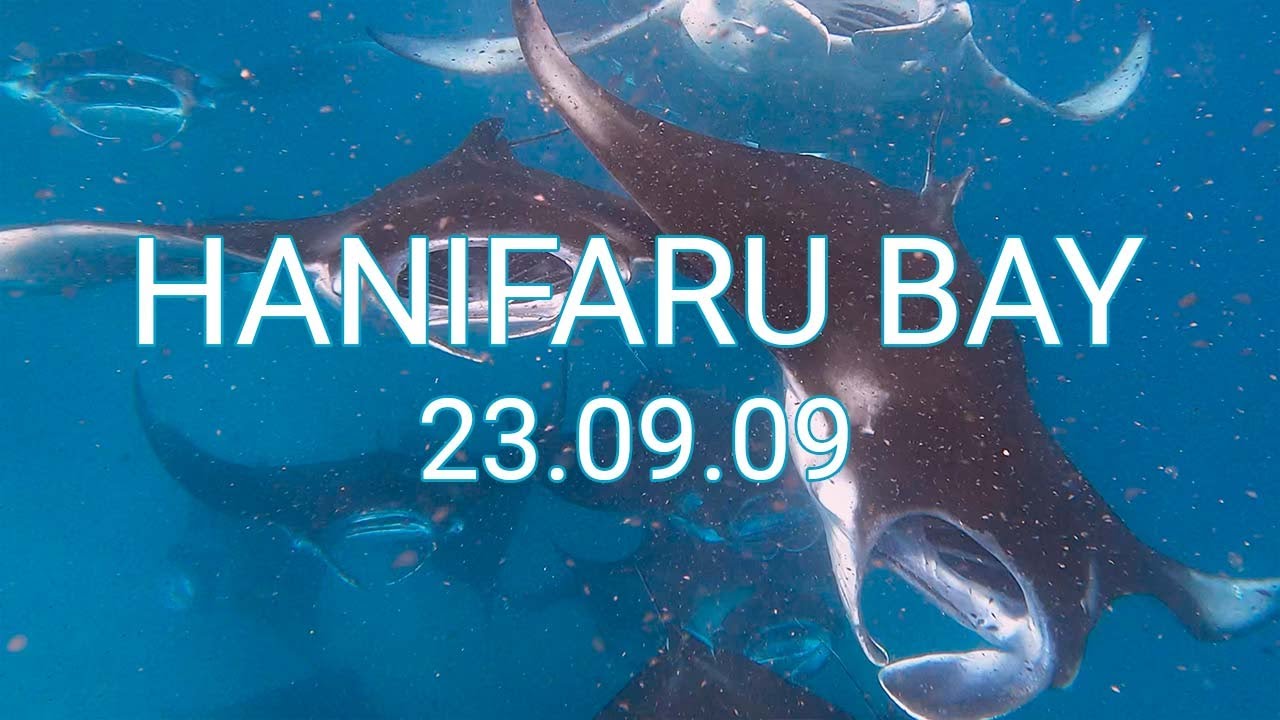 Hanifaru Bay -  2023.09.09 (with Ocean Dimensions)