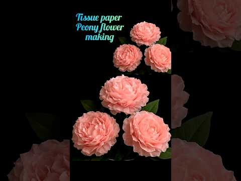 How to make tissue paper peony flower | #shorts #craft #tissuepaperflower