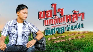 ขอใจแกล้มเหล้า – พิศาล เมืองเสือ