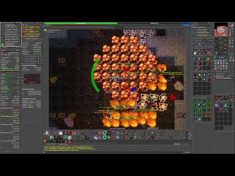 Tibia : Full team x5 Dark Thais hunt esp EK RP MS 2 x ED