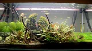 After a year still alive