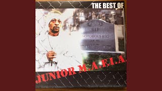 Realms Of Junior M.A.F.I.A.