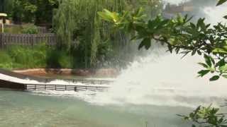 Kings Island's Congo Falls celebrates 25th anniversary season