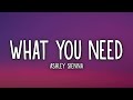 Ashley Sienna - What You Need (Lyrics)
