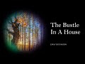 The Bustle In A House by Emily Dickinson