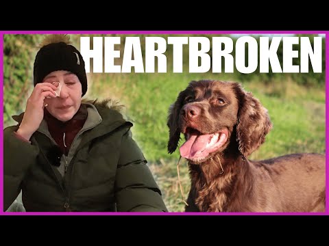 The hardest decision I've ever made 💔🐶