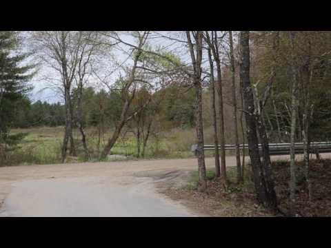 Swallow Attack - Filmed 05-09-17