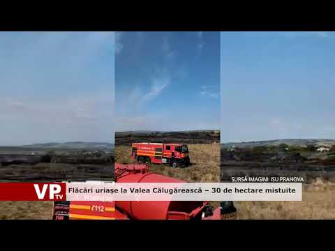 Flăcări uriașe la Valea Călugărească – 30 de hectare mistuite