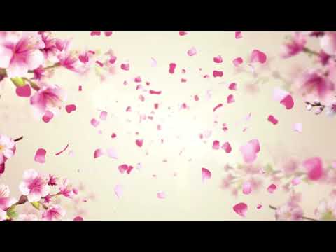 Brenda Warren - Beneath Cherry Blossoms