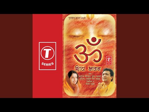 भोले तेरी कृपा से युग आते युग जाते है: भजन