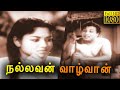 Nallavan Vazhvan Full Movie HD M G Ramachandran Rajasulochana MR Radha Classic Cinema