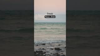 Download lagu INILAH PENGORBANAN SEORANG IBU - Ustadz Hanan Attaki #ceramah #shorts #dakwah #motivasi #shortvideo mp3 Download lagu INILAH PENGORBANAN SEORANG IBU - Ustadz Hanan Attaki #ceramah #shorts #dakwah #motivasi #shortvideo mp3