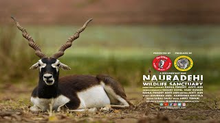 preview picture of video 'NAURADEHI WILDLIFE SANCTUARY  -  A Documentary Film'