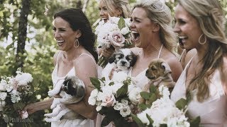 SURPRISE WEDDING PUPPIES!! - Bride's sister plans puppies for photos