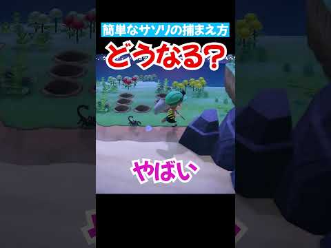 さまざまな学校が警告:シロナガスクジラチャレンジが戻ってきた