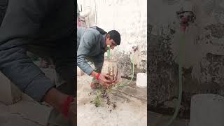 Download lagu tu hain toh main hoon  || sky force song  || Arijit Singh new songs mp3 Download lagu tu hain toh main hoon  || sky force song  || Arijit Singh new songs mp3