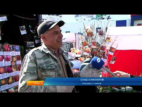 В Курске открылась садово-дачная ярмарка