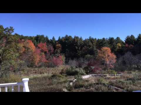 Autumn Ridge Ayer Ma. Unit 202