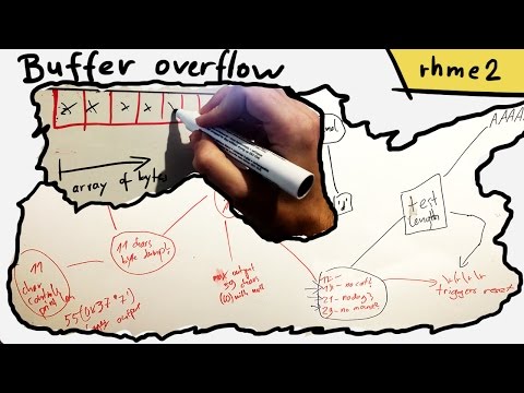 Blind Buffer Overflow exploitation to leak secret data - rhme2 Animals (pwn 200)