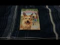 Opening To Because Of Winn Dixie 2005 DVD Side A Fullscreen