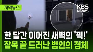 Download lagu [Subtitled News] The 'Thwack!' at Dawn That Lasted for a Month: The Culprit's Identity Revealed A... mp3