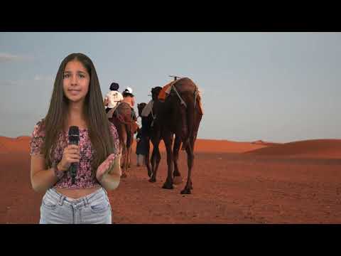 Cum ne îmbrăcăm pe vreme de caniculă - Elisa Popescu