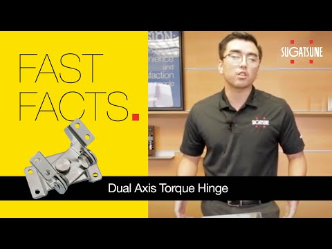Dual Axis Torque Hinge