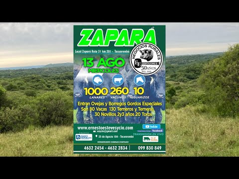 Remata Ernesto Esteves y Cia - Local Zapará Tacuarembó - 13 de Agosto de 2025